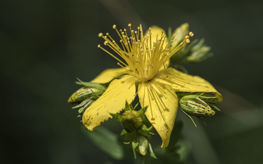 Alassio Experience: focus su sentieri e mare nel terzo osservatorio sulle nuove tendenze turistiche